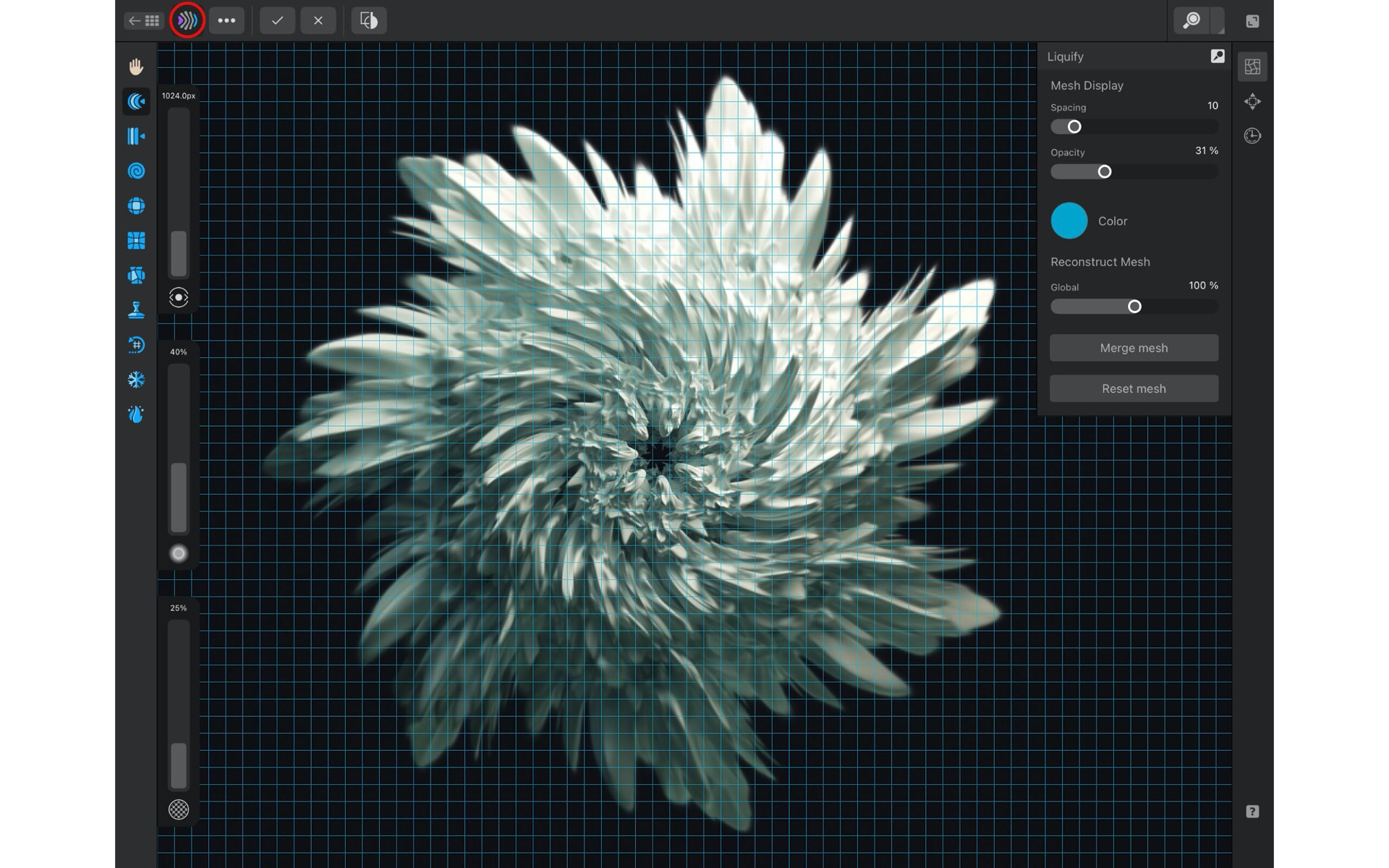 Affinity Photo Liquify Persona